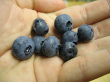 Eight Delicious Blueberries